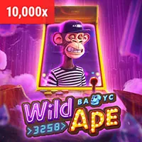 Hoàn trả thể thao và casino Kubet19