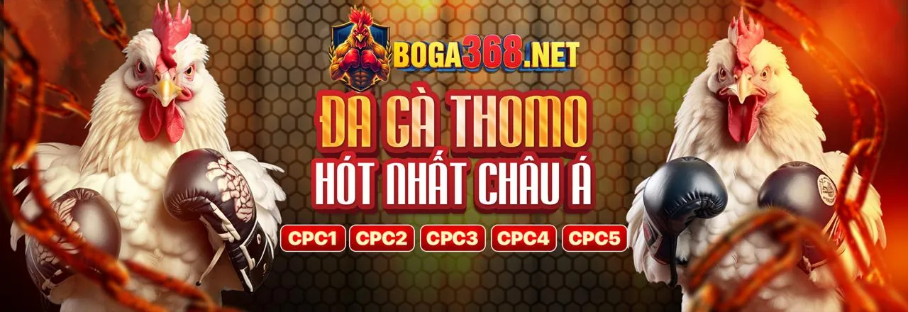 Sân vận động bóng đá sôi động với logo Kubet19