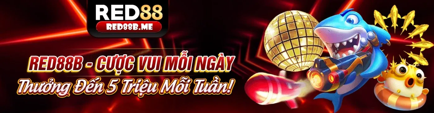 Giao diện ứng dụng Kubet19 chính thức trên điện thoại